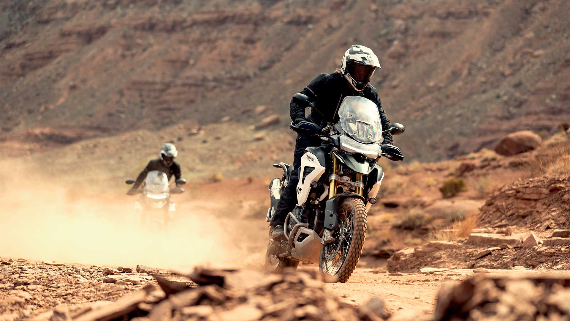 Triumph tiger adventure bike deals